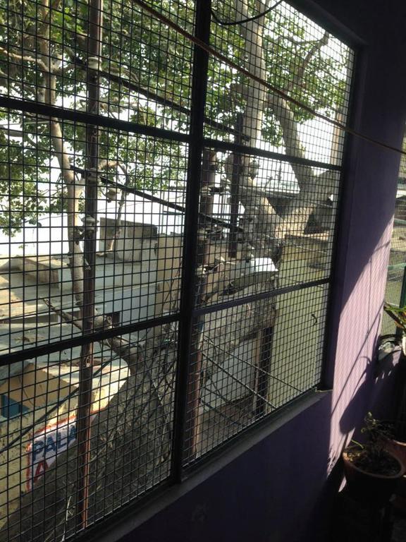 Paradise Inn Guest House Varanasi Værelse billede