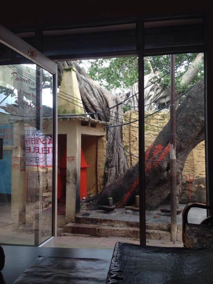 Paradise Inn Guest House Varanasi Eksteriør billede